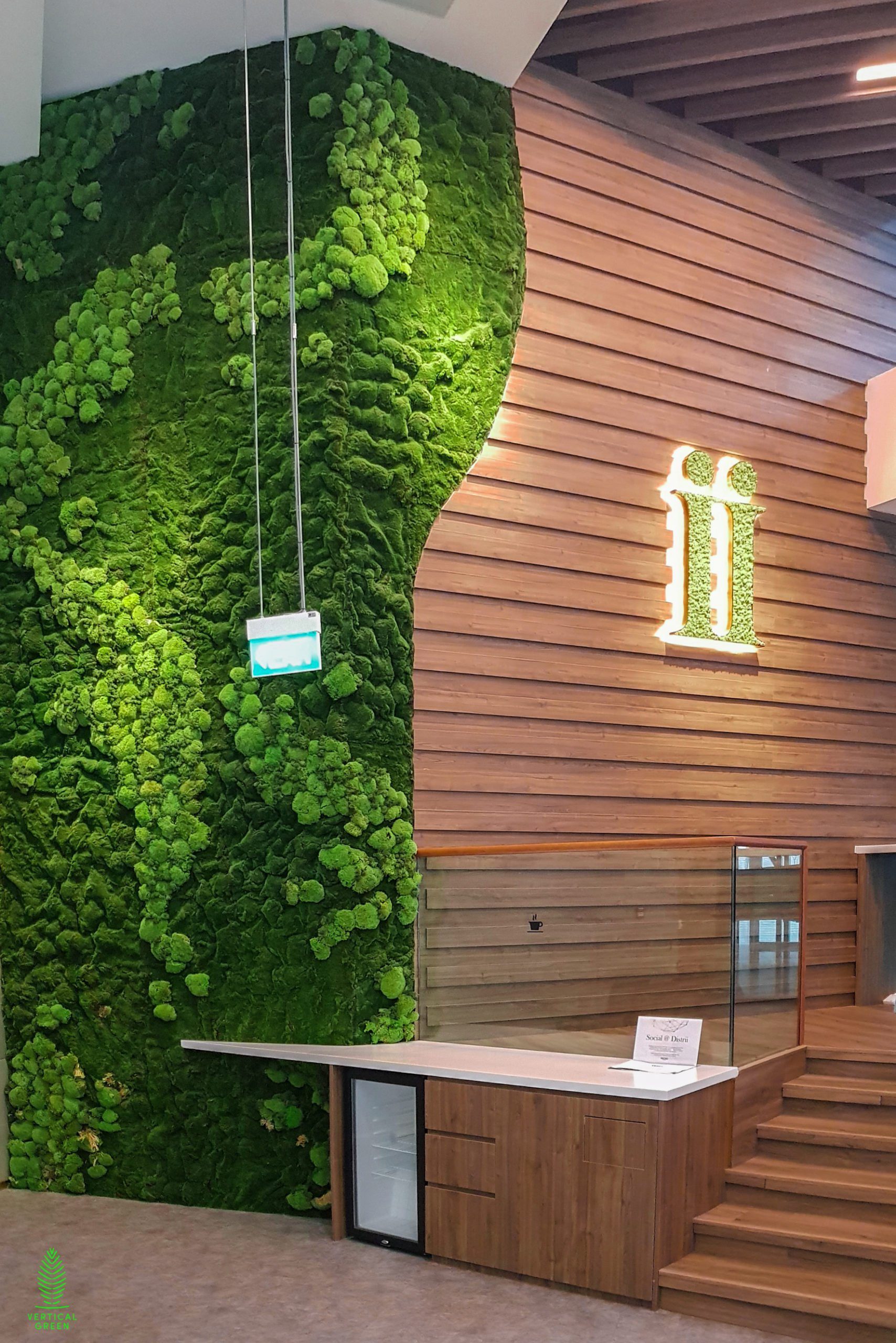 outdoor moss wall on Naturally Preserved Hygro Moss Moss Wall Garden Vertical Green