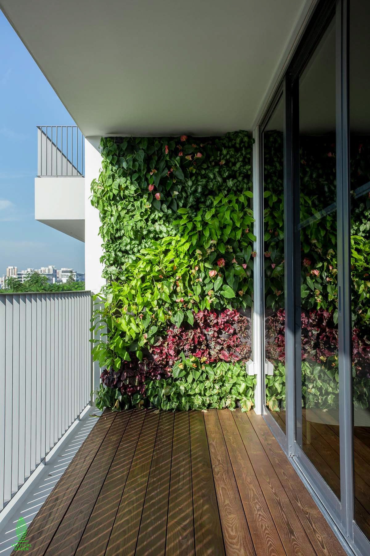 Green wall for the balcony