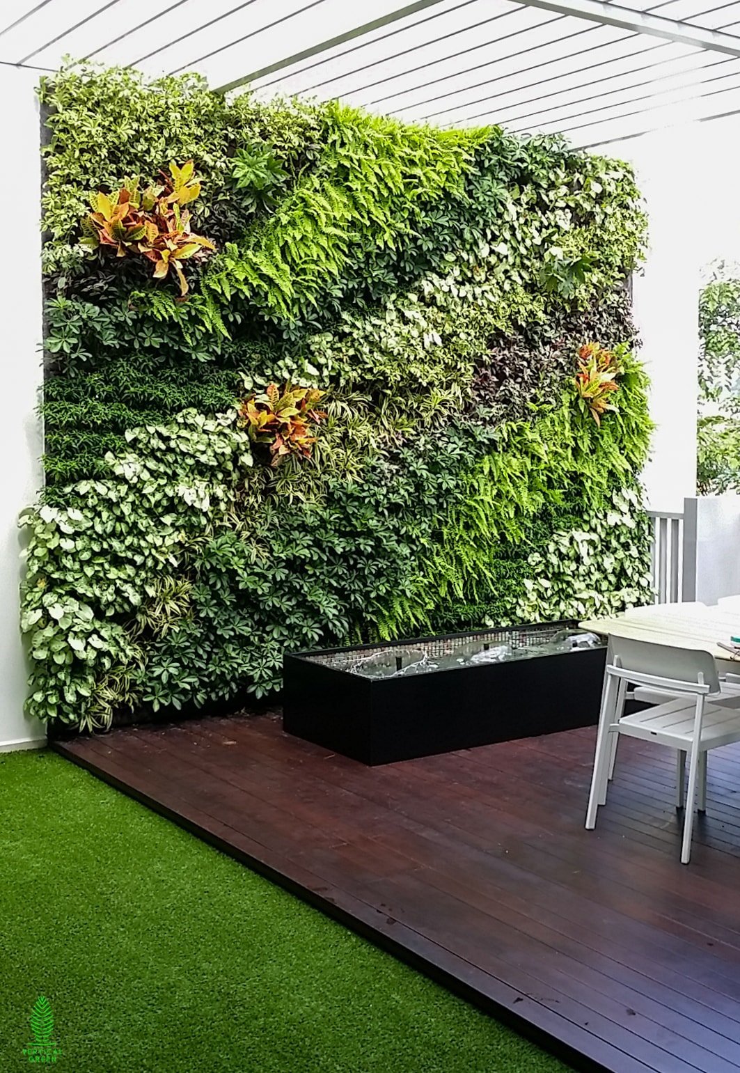 plants for green wall
