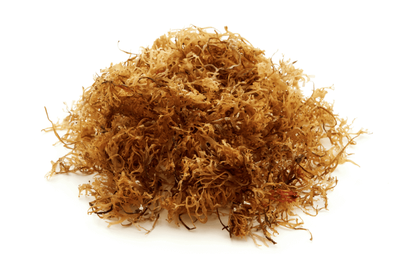 dried moss